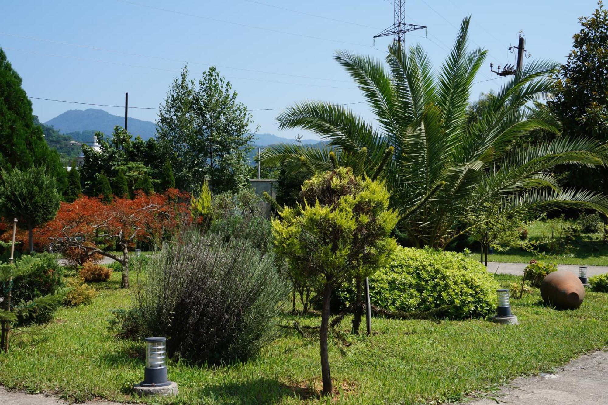 באטומי Villa Qero מראה חיצוני תמונה
